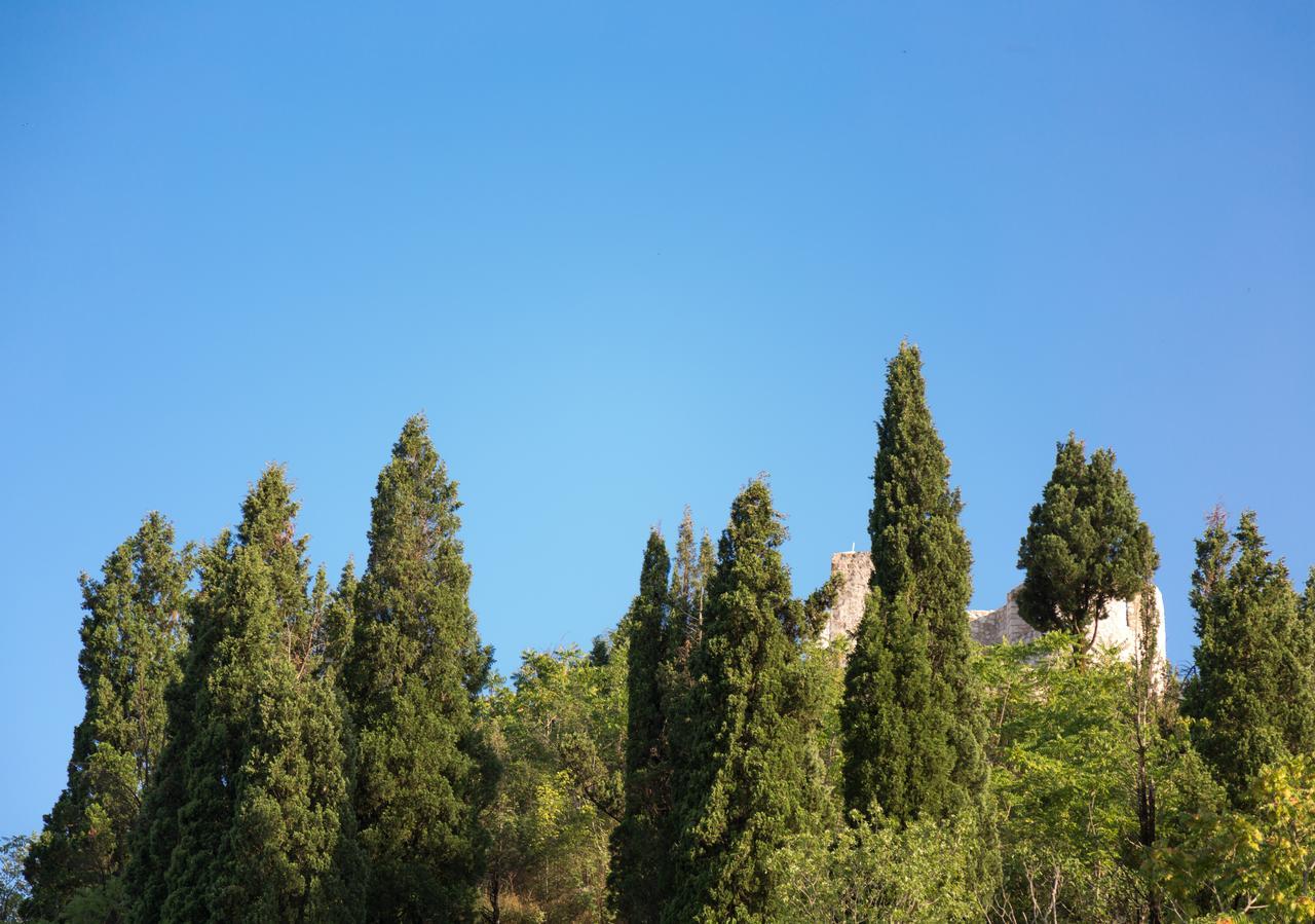 Appartamento Vasiliki Virpazar Esterno foto